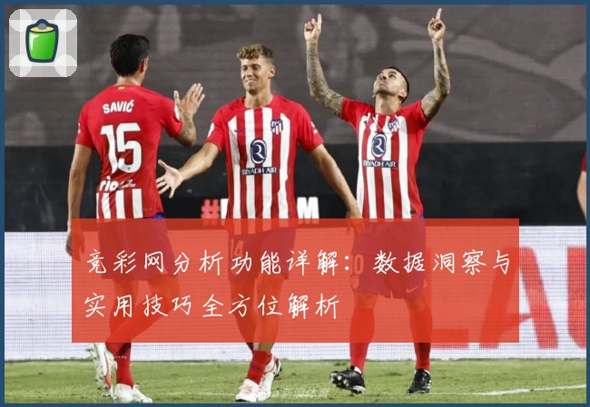 竞彩网分析功能详解：数据洞察与实用技巧全方位解析