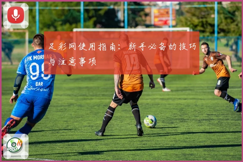 足彩网使用指南：新手必备的技巧与注意事项