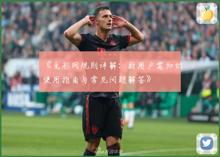 《竞彩网规则详解：新用户需知的使用指南与常见问题解答》