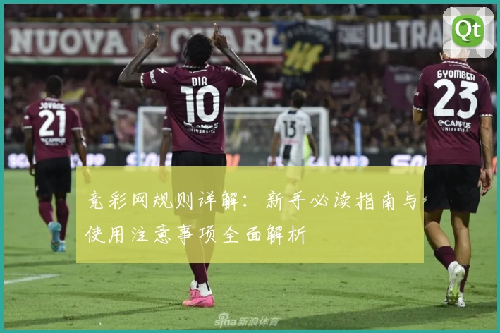 竞彩网规则详解：新手必读指南与使用注意事项全面解析