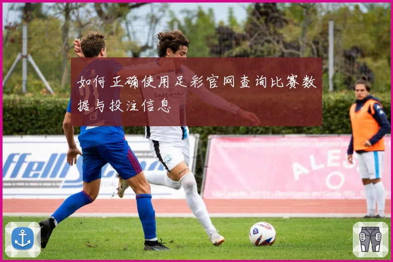 如何正确使用足彩官网查询比赛数据与投注信息